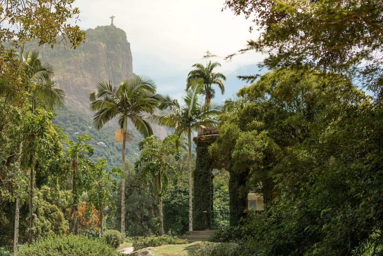 Botanical garden with palm trees and lush greenery, distant Cristo Redentor statue standing on high rocky peak