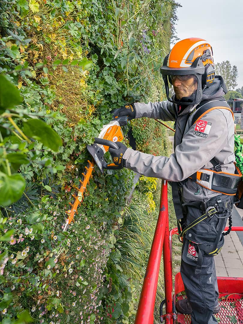 A gardener on a rooftop garden uses a long pole pruner to trim a tree next to a staircase under a clear sky.