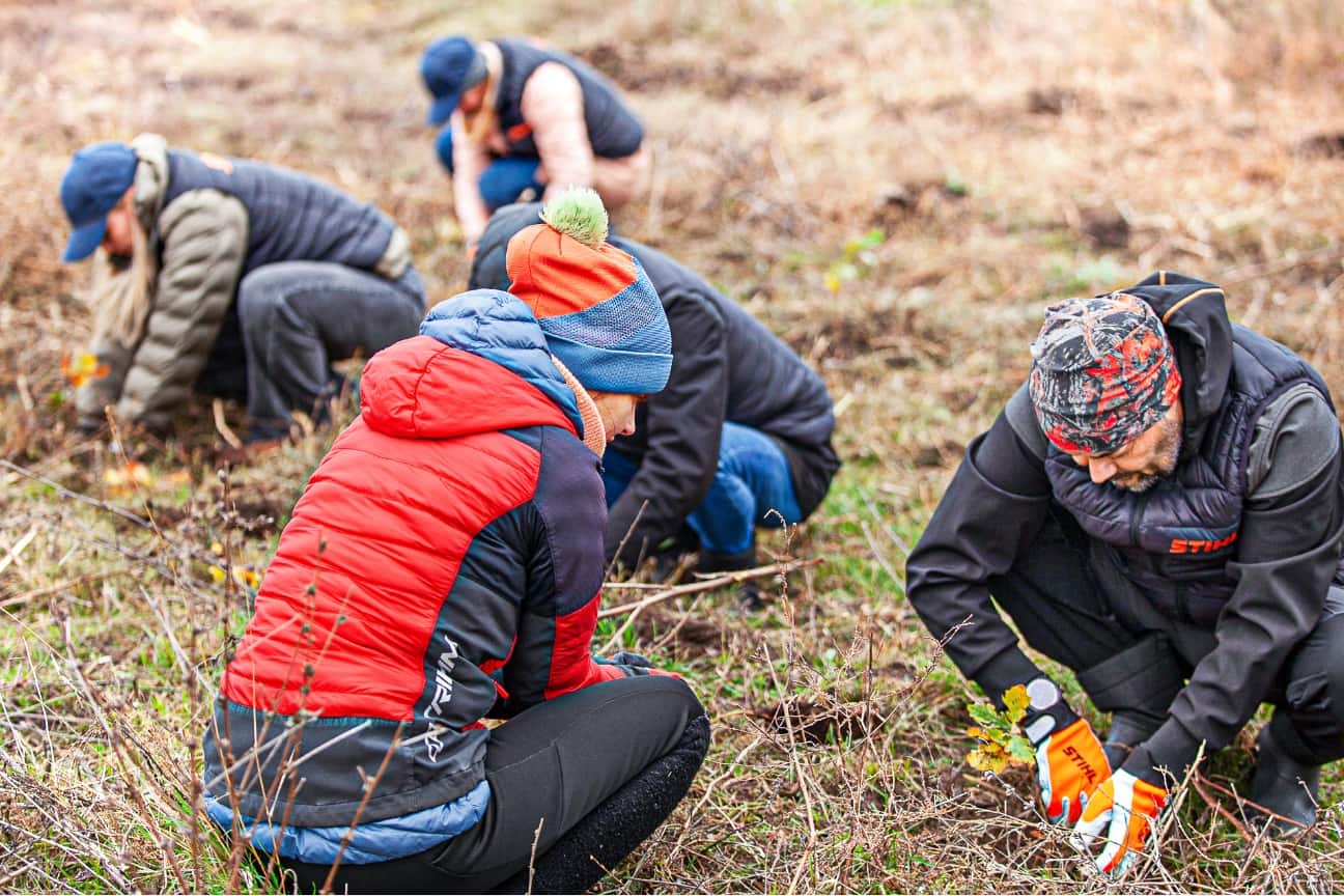 Several volunteers in warm outdoor clothing planting young shrubs on meadow, using STIHL gloves and hand tools together